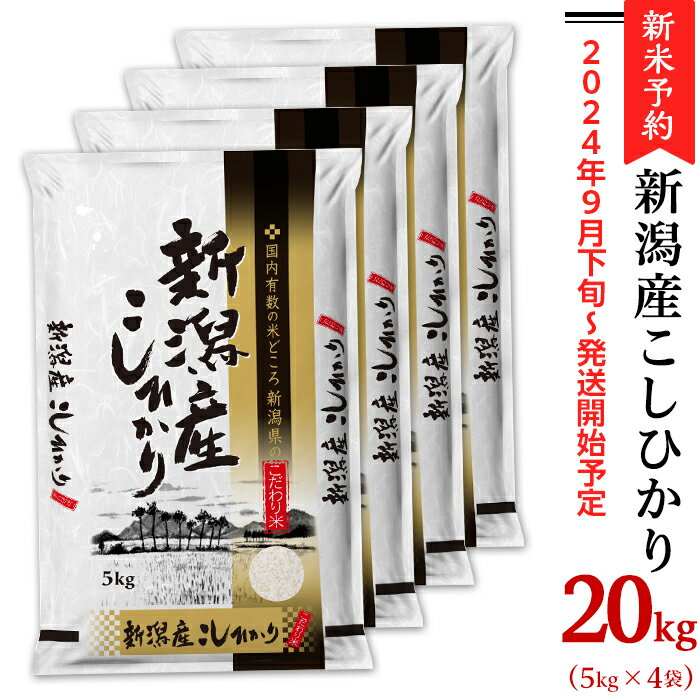 【ふるさと納税】米 20kg 令和4年 白米 31-06新潟県産コシヒカリ20kg（5kg×4袋）