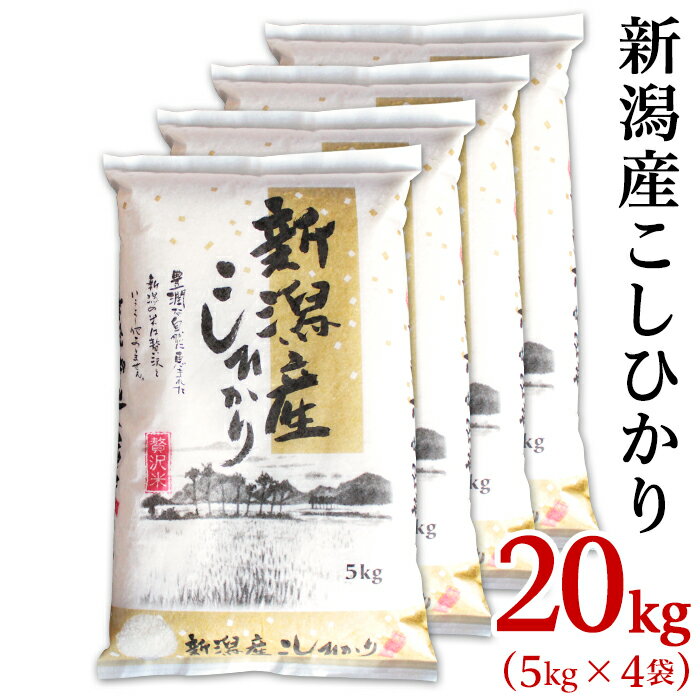 【ふるさと納税】令和5年 米 20kg 5kg×4袋 新潟こ