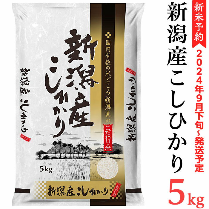 【ふるさと納税】令和6年 新米予約 米 5kg 新潟こしひかり 白米 K51新潟県産コシヒカリ5kg