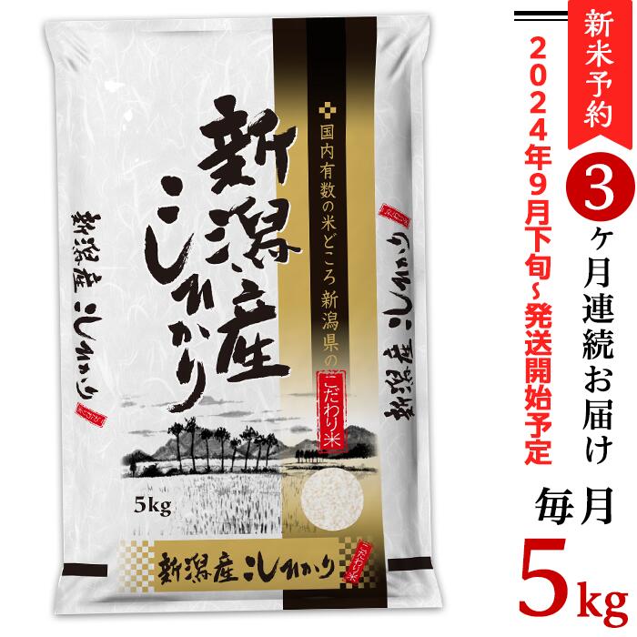 【ふるさと納税】令和6年 新米予約 米 定期便 5kg 新潟こしひかり 白米 K53【3ヶ月連続お届け】新潟県産コシヒカリ5kg