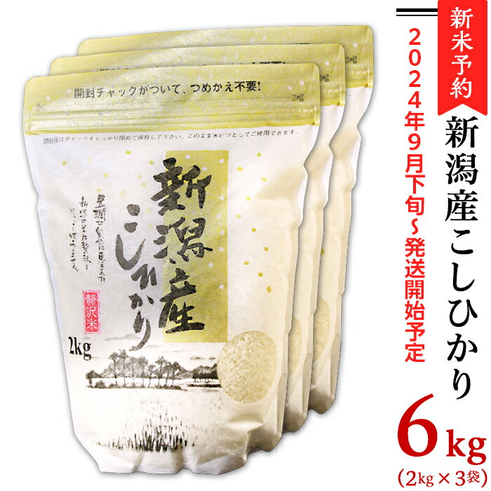 令和6年 新米予約 米 6kg 2kg×3袋 新潟こしひかり 白米 K61新潟県産コシヒカリ6kg（2kg×3袋）