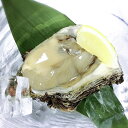 【ふるさと納税】新潟県産 天然岩牡蠣(生食用) 15個 約2.3kg 【ふるさと納税】新潟県産 天然岩牡蠣(生食用) 15個 約2.3kg