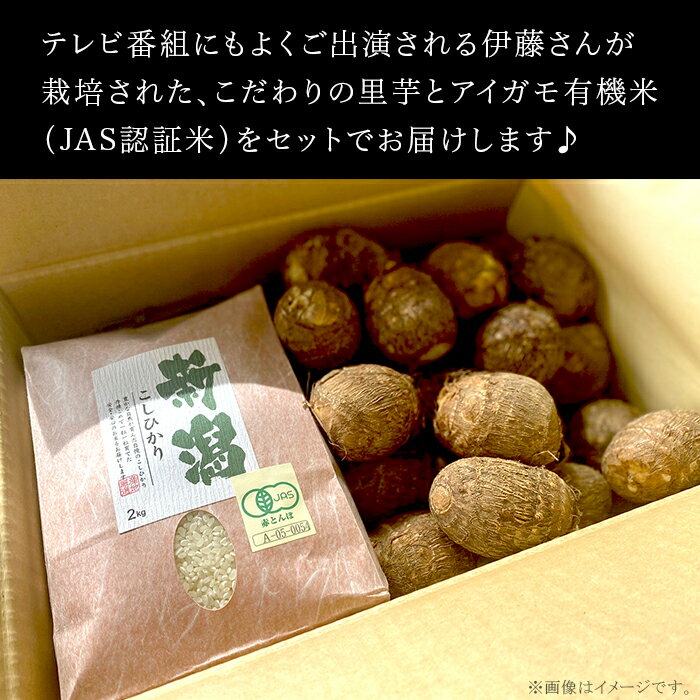 【ふるさと納税】里芋 さといも 米 アイガモ有機米 農薬不使用 化学肥料不使用 JAS認証 合鴨栽培 健康 里芋づくり名人がつくる完熟里芋と有機米のセット