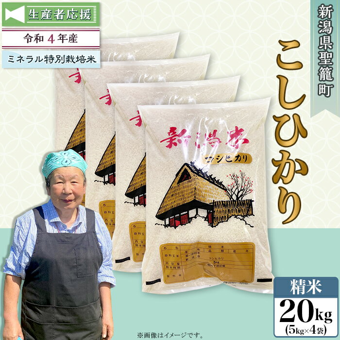 【ふるさと納税】訳あり 生産者応援 フードロス 令和4年 米 20kg 新潟こしひかり 白米 特別栽培米 令和4年産【精米】新潟県産コシヒカリ20kg（特別栽培米）近藤農園