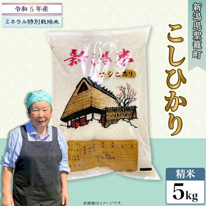 令和5年 米 5kg 新潟こしひかり 白米 特別栽培米 【精米】新潟県産コシヒカリ5kg（特別栽培米）近藤農園