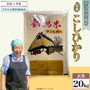 【ふるさと納税】 令和5年 米 20kg 新潟こしひかり 玄米 特別栽培米 【玄米】新潟県産コシヒカリ20kg（特別栽培米）近藤農園