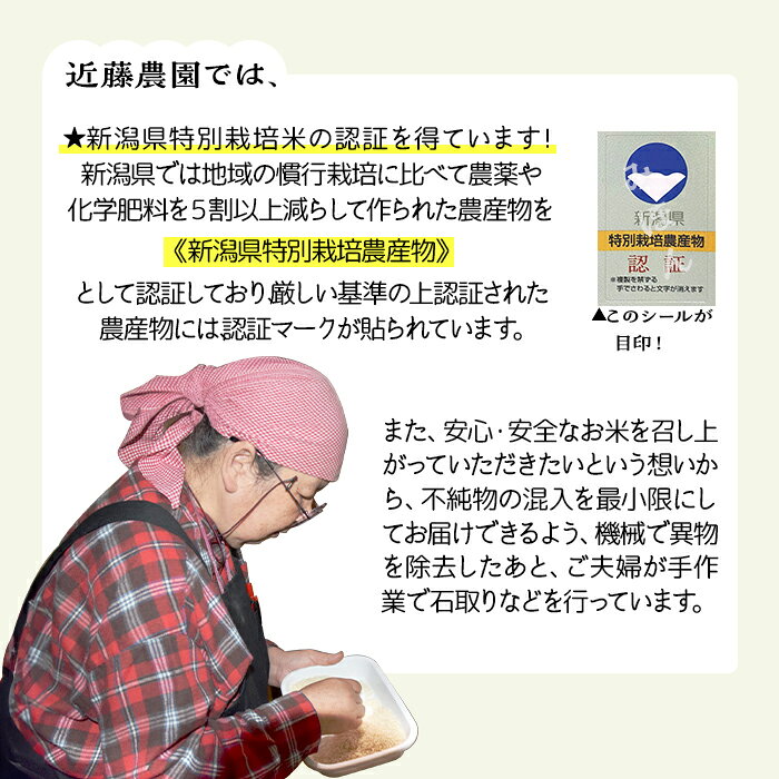 【ふるさと納税】米 新潟県産 コシヒカリ 令和7年産 令和8年産 新米 特別栽培 選べる 精米 玄米 5kg 10kg 20kg 白米 お米 新潟こしひかり【近藤農園】 f153079-seiro-10000282 新潟県聖籠町 サンプル画像2