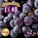 【ふるさと納税】【ぶどう界の大御所】農家こだわりの巨峰 約2kg ぶどう 贈答品 ご褒美 新潟県 弥彦村_巨峰 大粒 甘い 上品な香り 葡萄 ブドウ プレゼント ギフト 新潟県産 弥彦村産【配送不可地域:離島】【1085936】