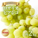 【ふるさと納税】【上品な味わい】弥彦村農家のこだわりの逸品「ロザリオビアンコ」 約2kg ぶどう 新潟県 弥彦村_上品な甘み 皮ごと食べられる 葡萄 ブドウ 贈答品 プレゼント ギフト ご褒美 新潟県産 弥彦村産【配送不可地域:離島】【1085938】