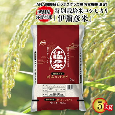 【ふるさと納税】令和4年産特別栽培米コシヒカリ「伊彌彦米」5kg【1125999】のサムネイル