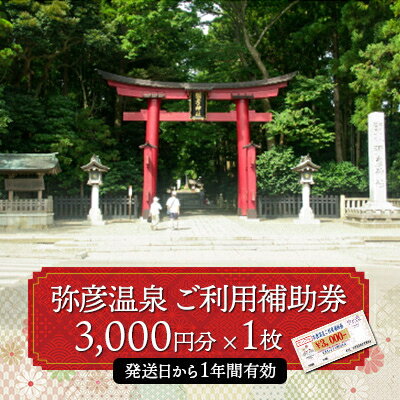 弥彦温泉ご利用補助券 3,000円分