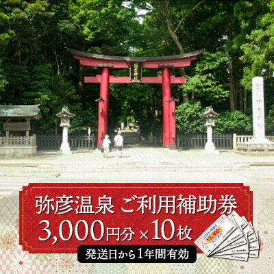 弥彦温泉ご利用補助券　3,000円分【10枚】【1296027】