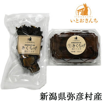 【ふるさと納税】新潟県弥彦村産 越のうさぎ 生きくらげ250g、乾燥きくらげ25g 詰め合わせセット_<栽培期間中農薬不使用>手のひらサイズ 大きい 肉厚食感...