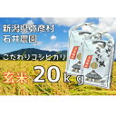 【ふるさと納税】新潟県弥彦村石井農園 令和7年産 コシヒカリ【玄米 20kg】【1538645】