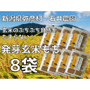 【ふるさと納税】ぷちぷち食感がたまらない「発芽玄米餅」 8袋 新潟県弥彦村産「こがねもち」100%使用【1554476】