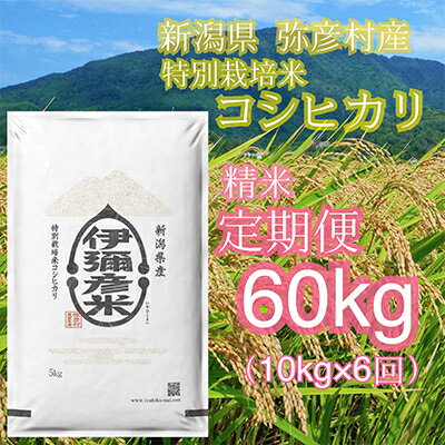 【ふるさと納税】【毎月定期便】特別栽培米コシヒカリ「伊彌彦米」10kg全6回【4002774】のサムネイル