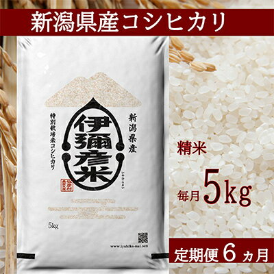 【ふるさと納税】2022年11月発送開始『定期便』【令和4年産】特別栽培米コシヒカリ「伊彌彦米」5kg全6回【5080118】のサムネイル