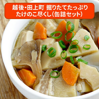 越後・田上町 掘りたてたっぷり たけのこ尽くし(缶詰セット) 【加工食品・缶詰・たけのこ・筍・詰め合わせ】
