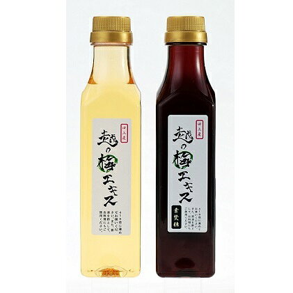 越の梅エキス 2本セット 加工食品 お届け:〜2019年2月28日