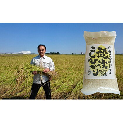竹米5kg（竹パウダーを使って栽培した米）　【お米・精米・白米】