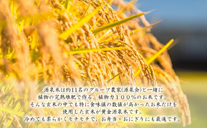 新潟県田上町の画像3