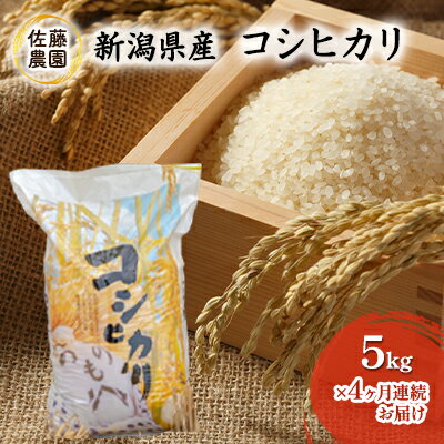 【新米先行予約受付開始】新潟県産　コシヒカリ【佐藤農園】5kg×4ヶ月連続お届け　【定期便・お米・コシヒカリ】　お届け：2023年9月末より順次発送