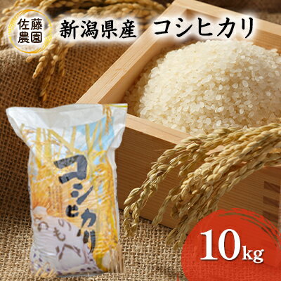 【ふるさと納税】【新米先行予約受付開始】令和5年産　新潟県産