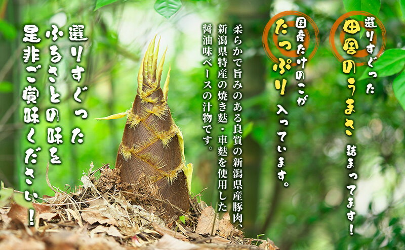 オーサワジャパン オーサワ ヤンノー 100g 国産大豆使用 農薬不使用