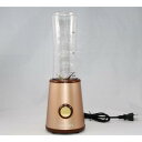【ふるさと納税】トライタンボトルブレンダー600ml キッチン用品 調理家電 ミキサー スムージー 卓上