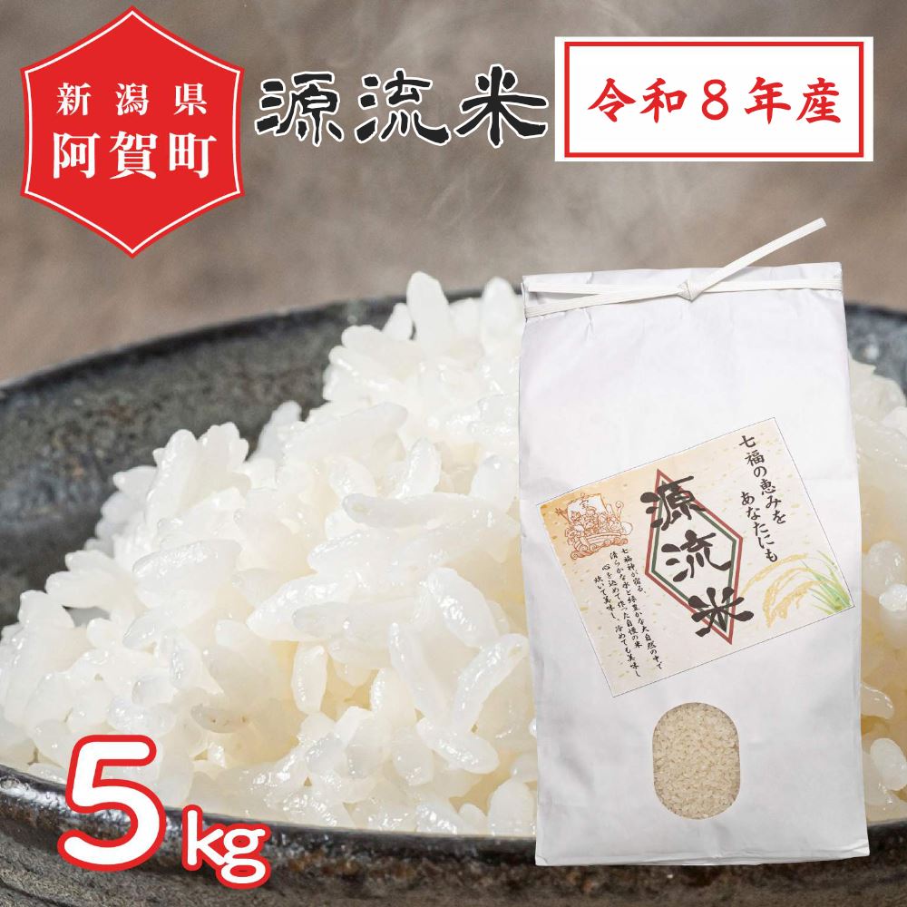 【ふるさと納税】 米 5kg 《 新米 新潟県産 コシヒカリ 》 令和8年産 阿賀 上川 源流米 | 七福の恵 こしひかり 白米 精米 送料無料 お取り寄せ お米 ※2026年10月上旬頃より順次発送