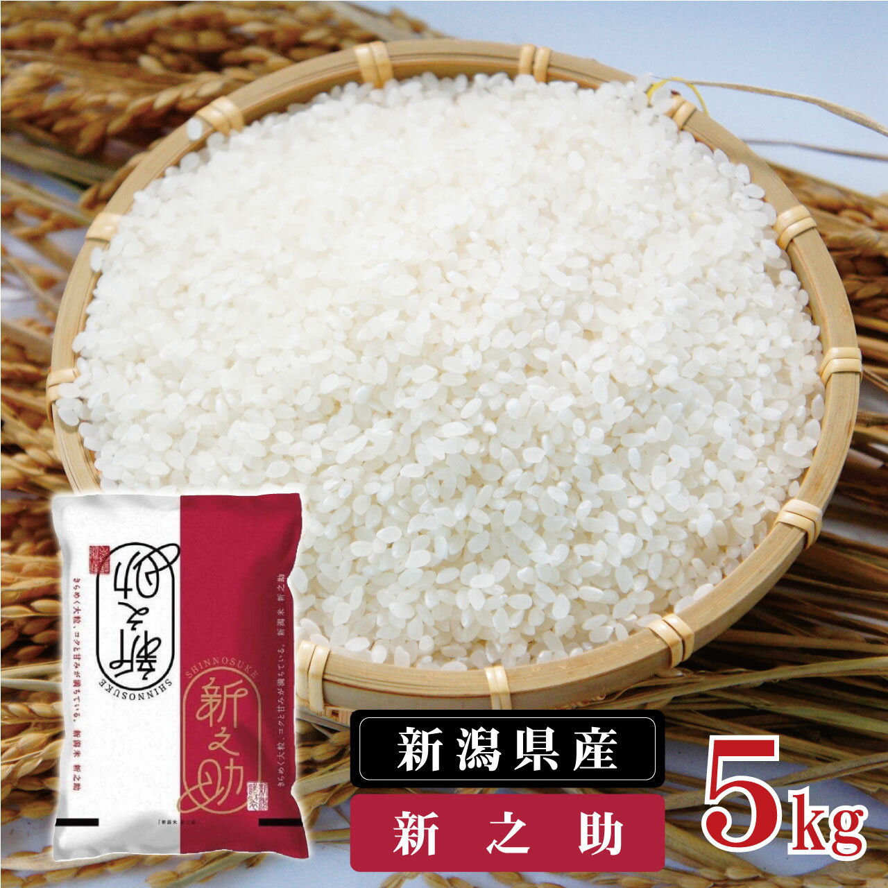  米 5kg 新潟県産 「津川産 新之助」 令和5年産 5kg × 1袋 | 白米 精米 しんのすけ 送料無料 お取り寄せ お米