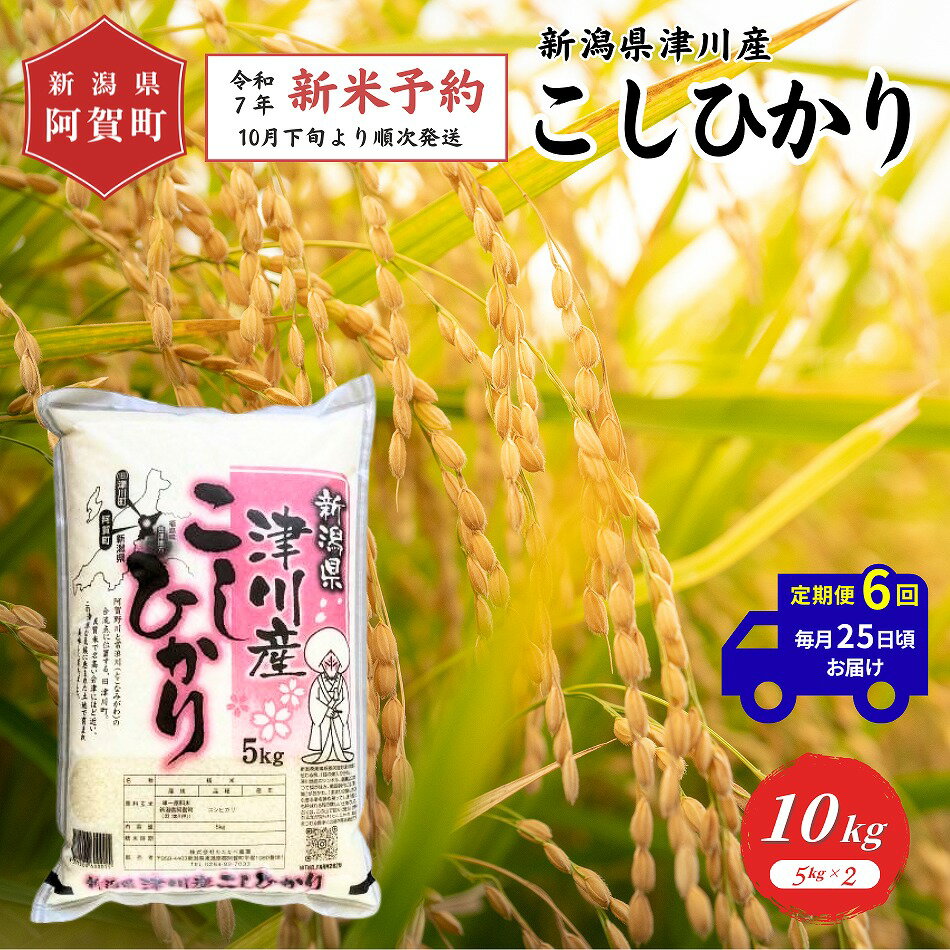 【ふるさと納税】 《先行予約》＜定期便6回＞ 米 10kg 新潟県産 「津川産 コシヒカリ」 令和7年産 5kg × 2袋 | 白米 精米 こしひかり 送料無料 お取り寄せ お米 ※2025年10月下旬頃より順次発送のサムネイル
