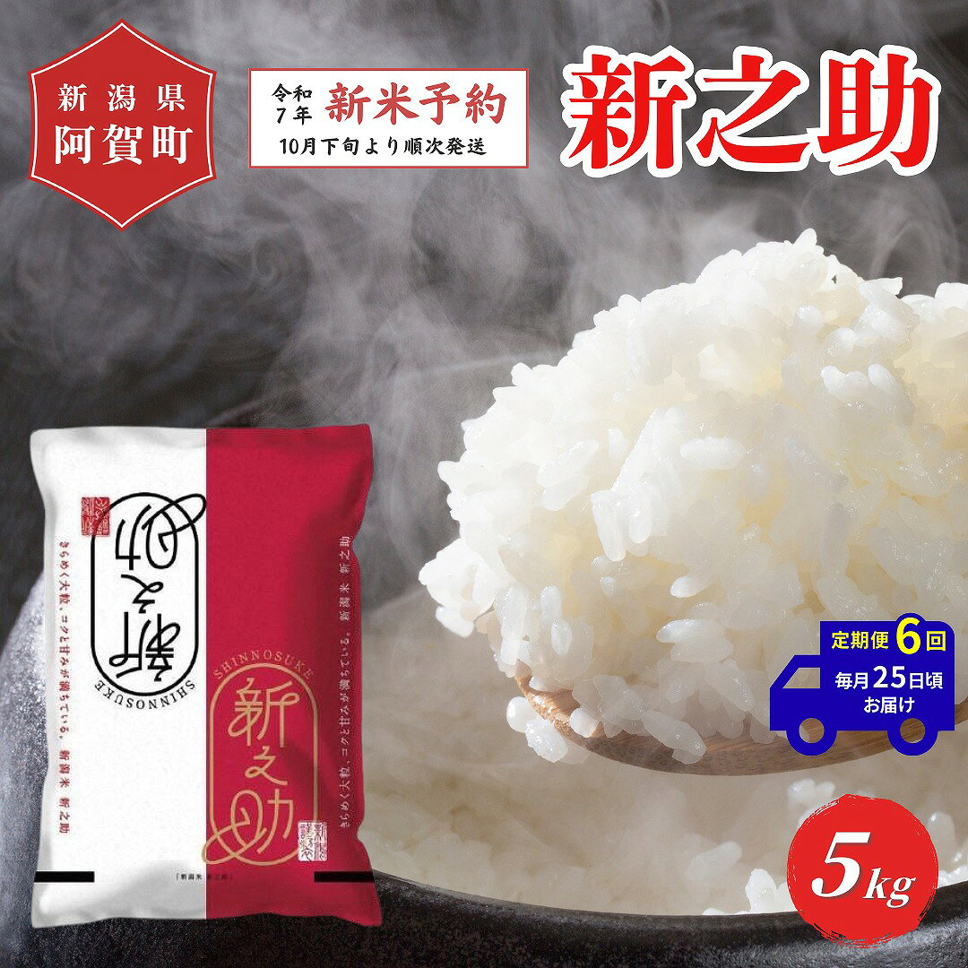 【ふるさと納税】 《先行予約》＜定期便6回＞ 米 5kg 新潟県産 「津川産 新之助」 令和7年産 5kg × 1袋 | 白米 精米 しんのすけ 送料無料 お取り寄せ お米 ※2025年10月下旬頃より順次発送のサムネイル