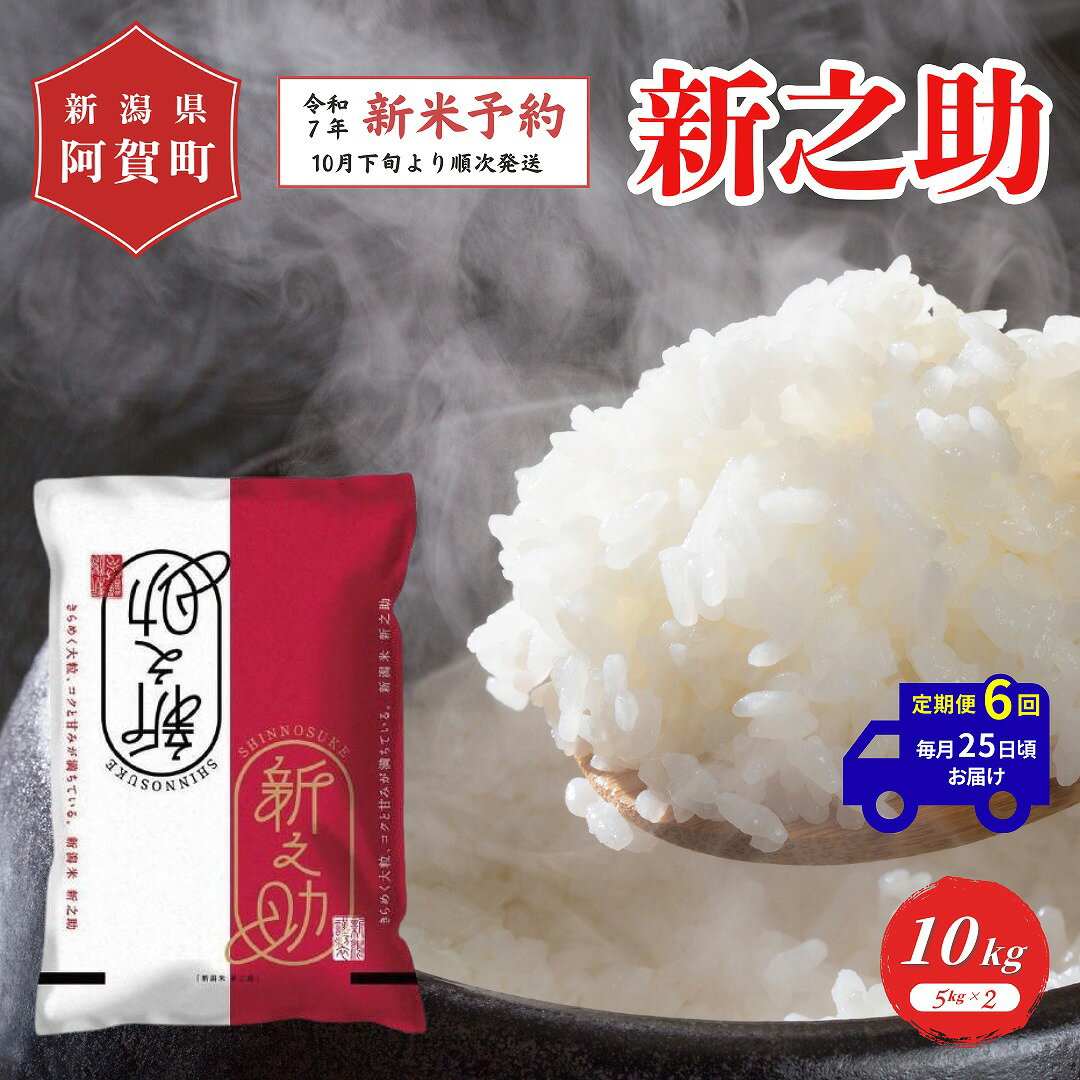 【ふるさと納税】 《先行予約》＜定期便6回＞ 米 10kg 新潟県産 「津川産 新之助」 令和7年産 5kg × 2袋 | 白米 精米 しんのすけ 送料無料 お取り寄せ お米 ※2025年10月下旬頃より順次発送のサムネイル