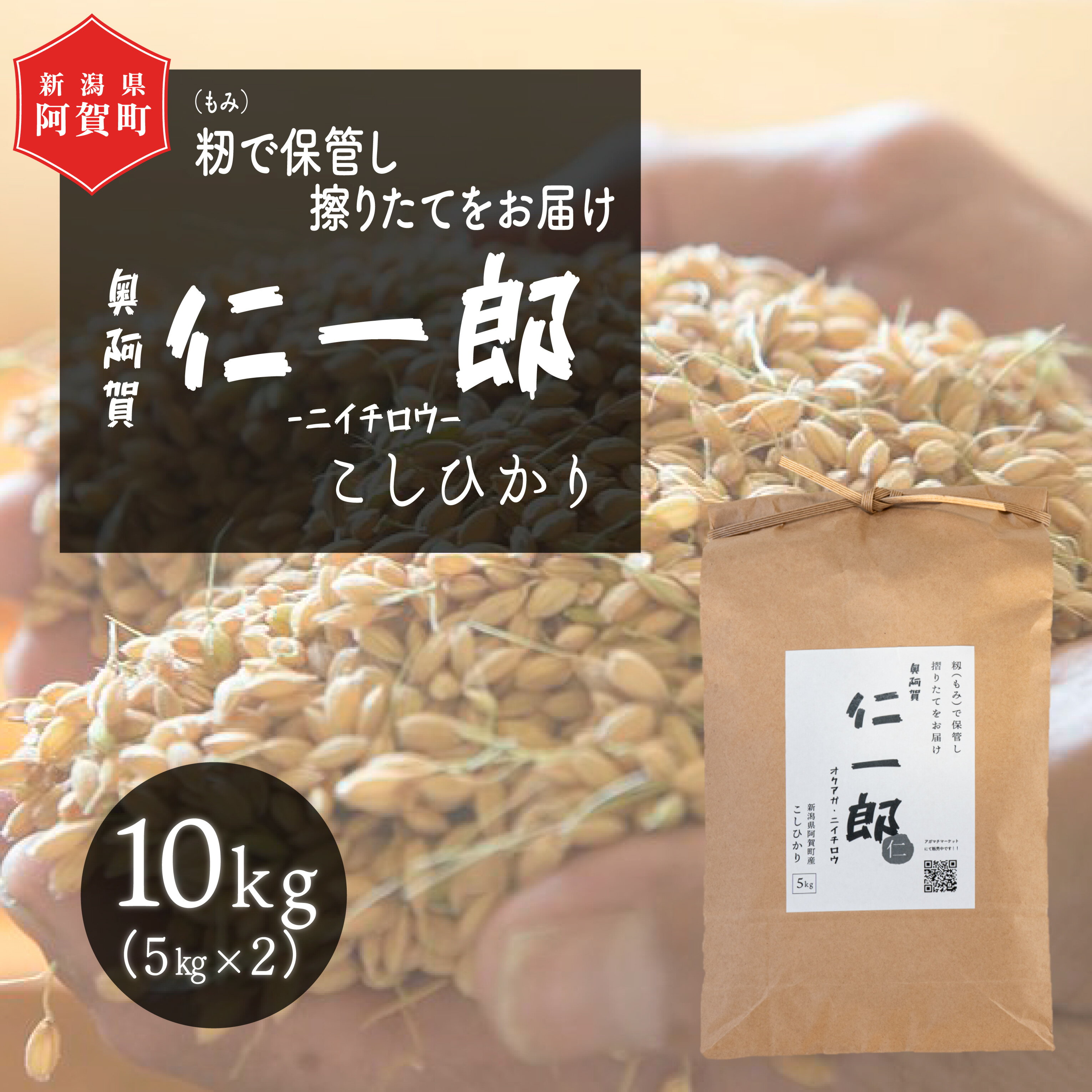 【ふるさと納税】 米 10kg 新潟県産 コシヒカリ 令和5