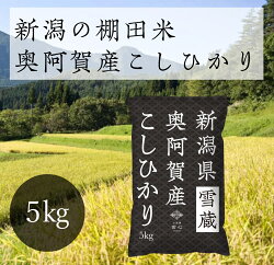 【ふるさと納税】《先行受付》 米 5kg 新潟県産 コシヒカリ 令和4年産 奥阿賀 | こしひかり ファーストクラス機内食採用産地 白米 精米 送料無料 お取り寄せ お米 ※2022年10月中旬頃より発送･･･ 画像1