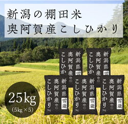 【ふるさと納税】《先行受付》 米 25kg 新潟県産 コシヒカリ 令和4年産 5kg × 5袋 奥阿賀 | こしひかり ファーストクラス機内食採用産地 白米 精米 送料無料 お取り寄せ お米 ※2022年10月中旬頃より発送･･･ 画像1