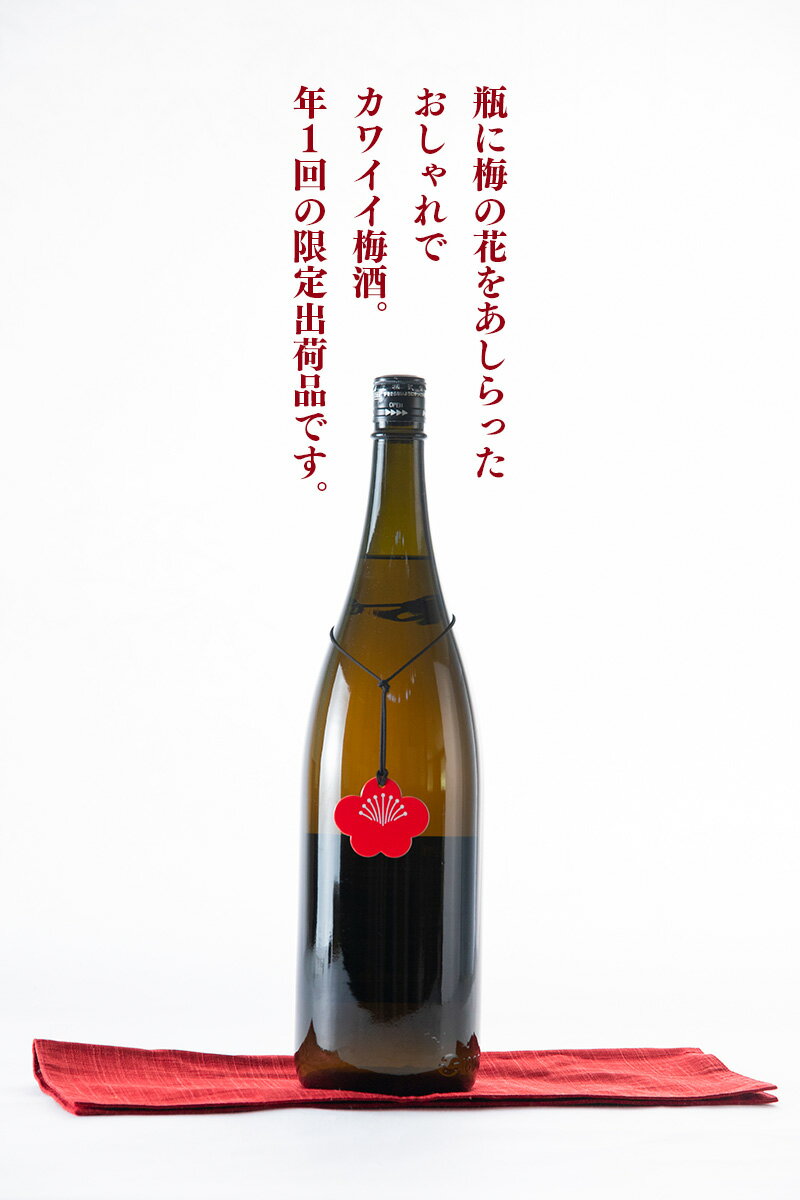 【ふるさと納税】日本酒 梅酒 新潟 《麒麟山》 1800ml 2本 セット 純米 | 阿賀 藤五郎 白加賀 清酒 地酒 国産 ギフト プレゼント 送料無料 化粧箱入 限定出荷品