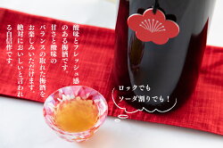 【ふるさと納税】日本酒 梅酒 新潟 《麒麟山》 720ml 2本 セット 純米 | 阿賀 藤五郎 白加賀 清酒 地酒 国産 ギフト プレゼント 送料無料 化粧箱入 限定出荷品･･･ 画像2