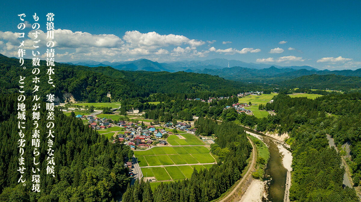 【ふるさと納税】 米 10kg 新潟県産 コシヒカリ はざ掛け 天日干し 令和5年産 越後奥阿賀産 5kg×2袋 | 小会瀬 はざがけ こしひかり 一等米 送料無料 お取り寄せ お米 白米 精米