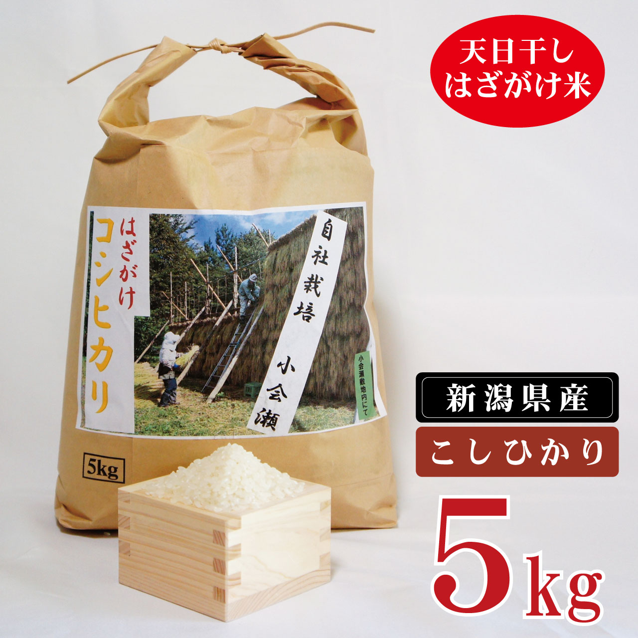 【ふるさと納税】 米 5kg 新潟県産 コシヒカリ はざ掛け 天日干し 令和4年産 越後奥阿賀産 | 小会瀬 はざがけ こしひかり 送料無料 お取り寄せ お米 白米 精米 ※2022年10月下旬頃より発送･･･