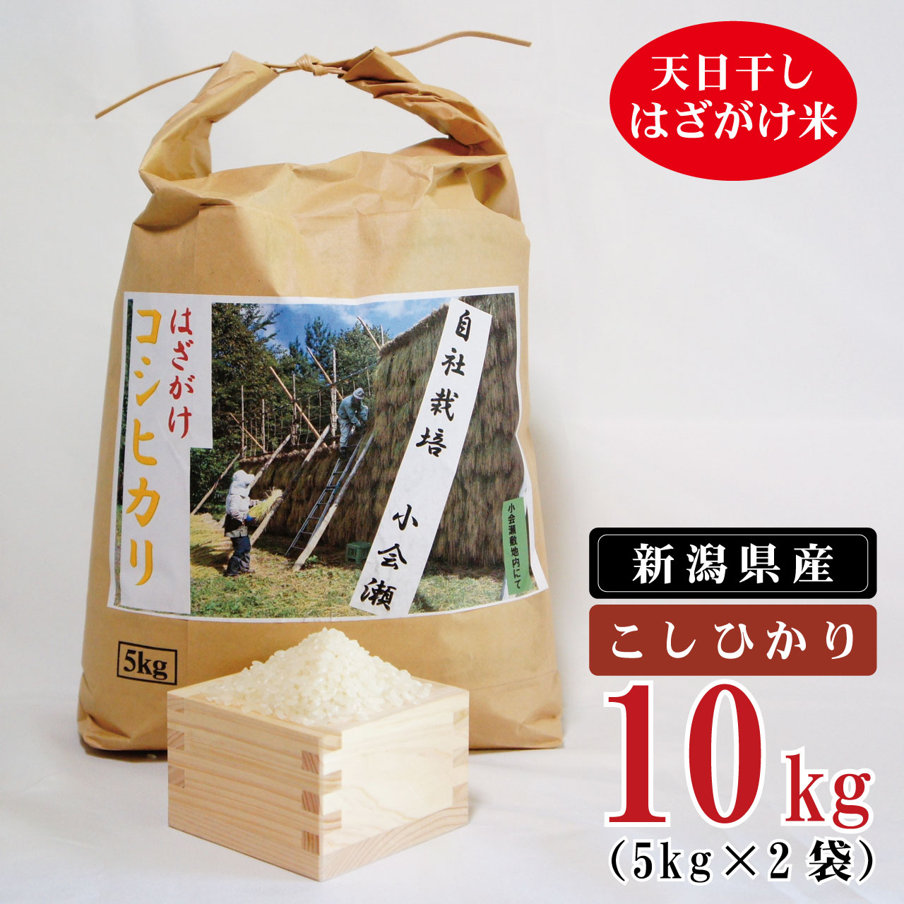 【ふるさと納税】 米 10kg 新潟県産 コシヒカリ はざ掛け 天日干し 令和5年産 越後奥阿賀産 5kg×2袋 | 小会瀬 はざがけ こしひかり 一等米 送料無料 お取り寄せ お米 白米 精米