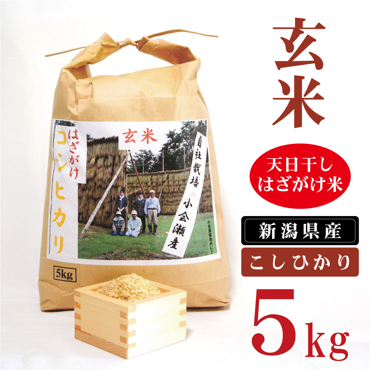 【ふるさと納税】 玄米 米 5kg 新潟県産 コシヒカリ はざ掛け 天日干し 令和5年産 越後奥阿賀産 | 小会瀬 はざがけ こしひかり 一等米 送料無料 お取り寄せ お米