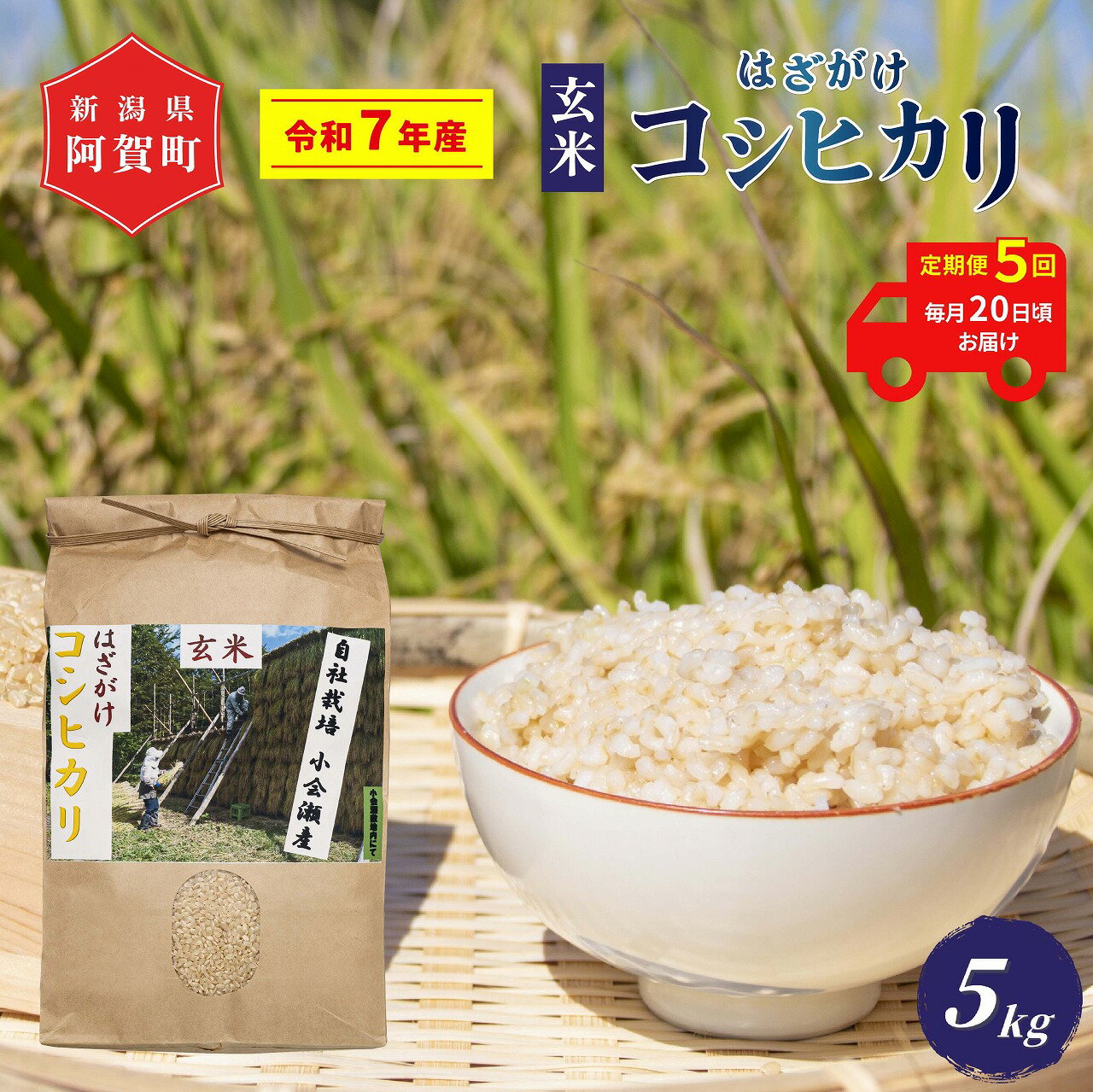 【ふるさと納税】 ＜定期便5回＞ 玄米 5kg 新潟県産 コシヒカリ はざ掛け 天日干し 令和7年産 越後奥阿賀産 | 小会瀬 はざがけ こしひかり 一等米 送料無料 お取り寄せ お米
