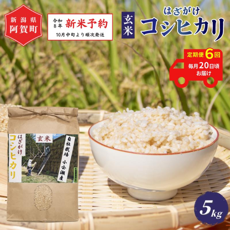 【ふるさと納税】 ＜定期便6回＞ 玄米 5kg 新潟県産 コシヒカリ はざ掛け 天日干し 令和8年産 越後奥阿賀産 5kg × 1袋 | 小会瀬 はざがけ こしひかり 一等米 送料無料 お取り寄せ お米 ※2026年10月中旬頃より順次発送