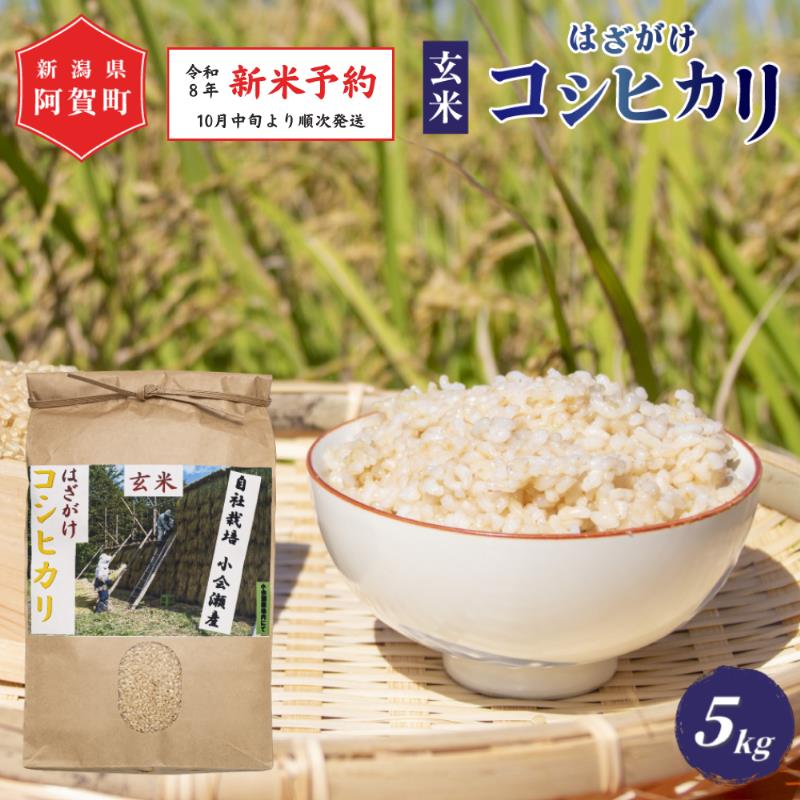 【ふるさと納税】 《 新米 コシヒカリ 新潟県 はざ掛け米》 玄米 5kg 新潟県産 コシヒカリ はざ掛け 天日干し 令和8年産 越後奥阿賀産 5kg × 1袋 | 小会瀬 はざがけ こしひかり 一等米 送料無料 お取り寄せ お米 ※2026年10月中旬頃より順次発送
