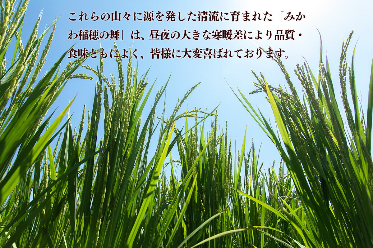 【ふるさと納税】平成30年産 新潟県阿賀町産 コシヒカリ 「みかわ稲穂の舞」8kg（2kg×4袋）が大人気返礼品になっている理由とは　ふるさと納税　人気　返礼品　ランキング