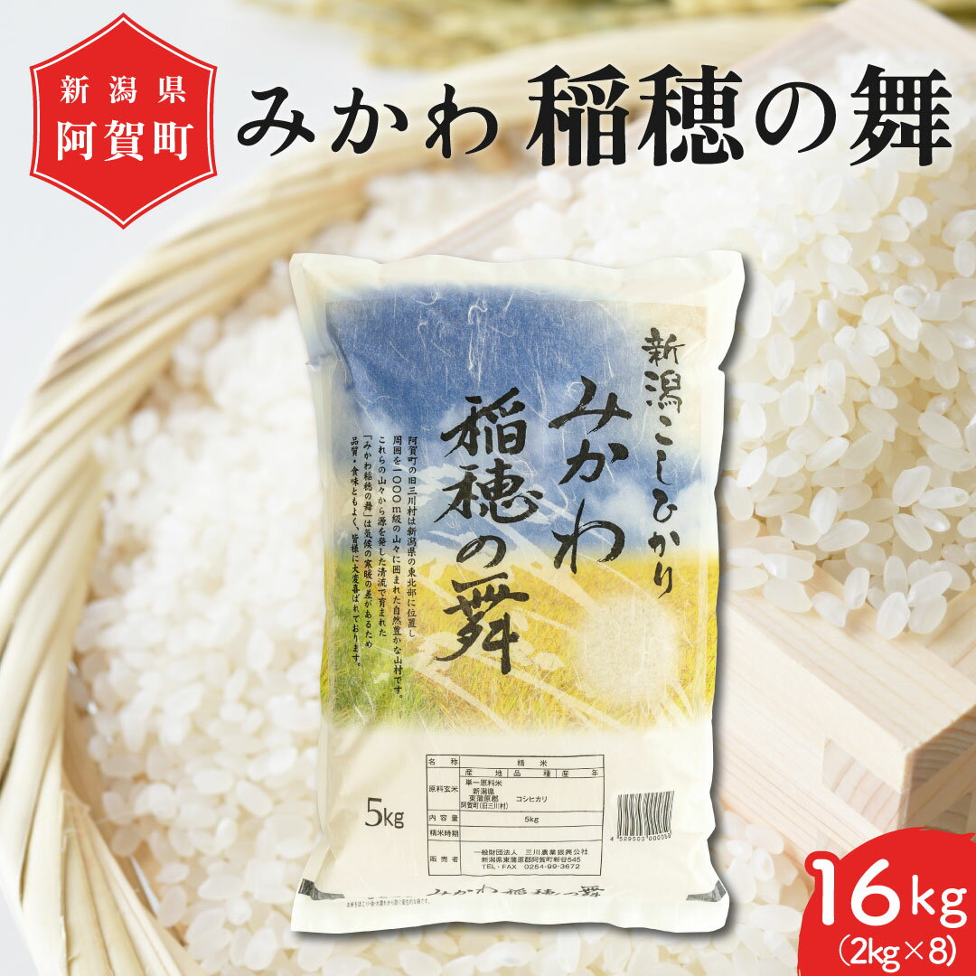 【ふるさと納税】米 16kg 新潟県産 コシヒカリ 「みかわ稲穂の舞」 令和5年産 2kg×8袋 阿賀 三川 | こしひかり 白米 精米 送料無料 お取り寄せ お米