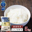 【ふるさと納税】米 5kg 《 新潟県産 コシヒカリ みかわ稲穂の舞 》 令和3年産 5kg × 1袋 阿賀 三川 | こしひかり 白米 精米 送料無料 お取り寄せ お米 金賞受賞