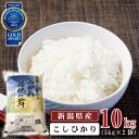 【ふるさと納税】米 10kg 《 新潟県産 コシヒカリ みかわ稲穂の舞 》 令和3年産 5kg × 2袋 阿賀 三川 | こしひかり 白米 精米 送料無料 お取り寄せ お米 金賞受賞